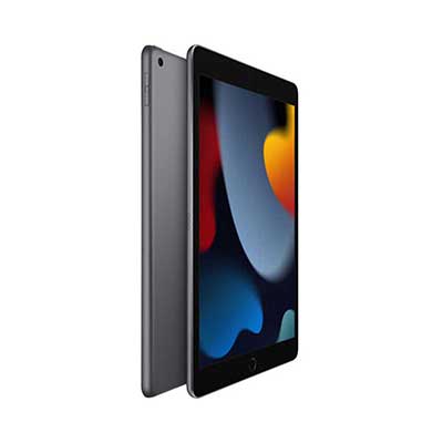 Apple - 10.2" iPad 9th Gen, 256GB, Wi-Fi Only, Space Gray