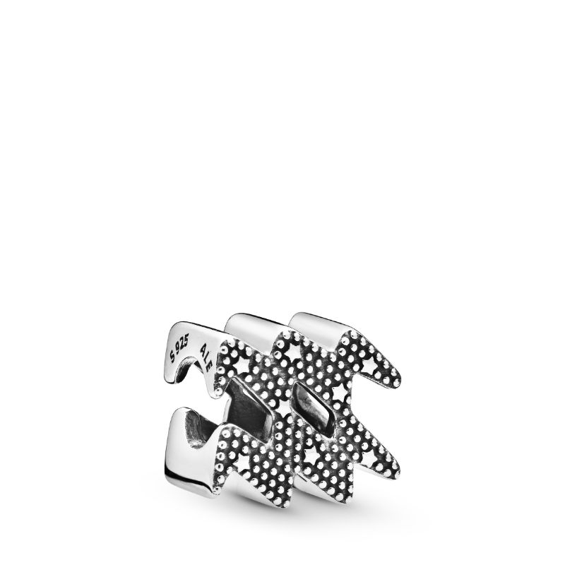 Sparkling Aquarius Zodiac Charm