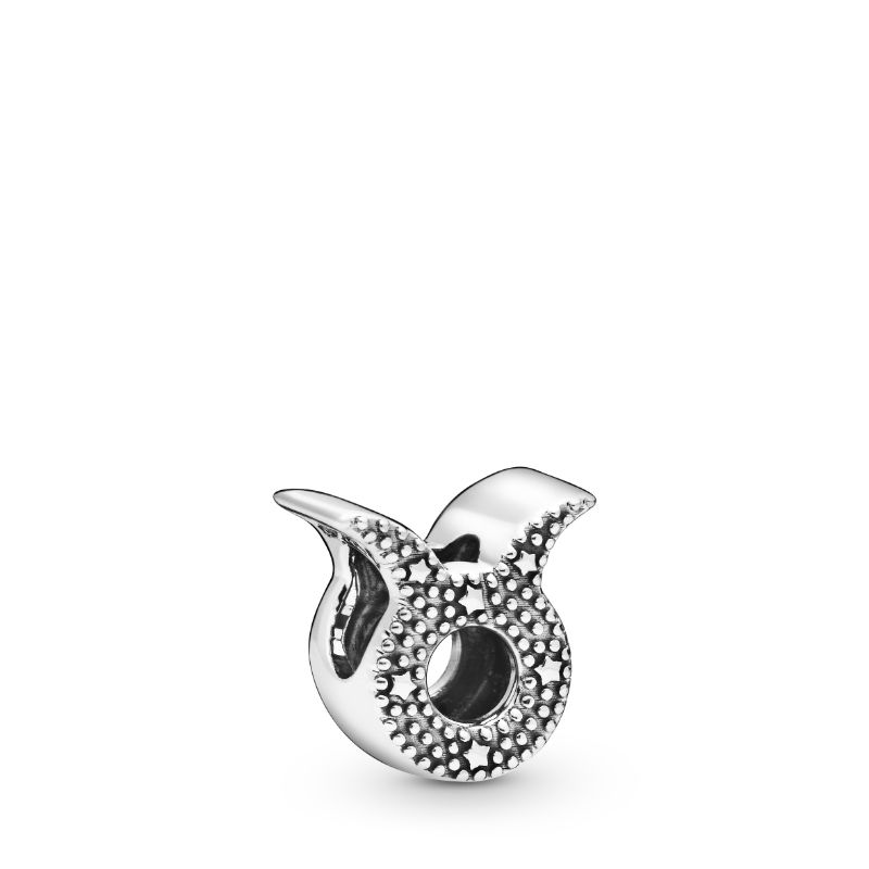 Sparkling Taurus Zodiac Charm