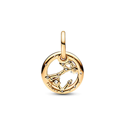 Pisces Zodiac Dangle Charm