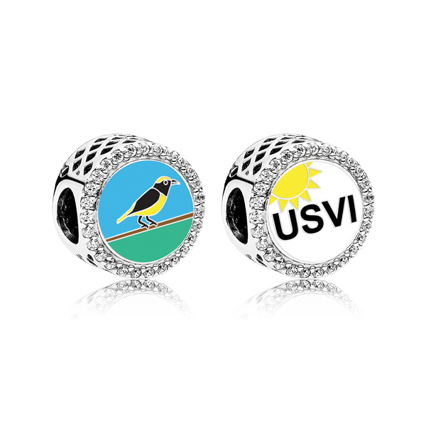 Usvi Sun Bird